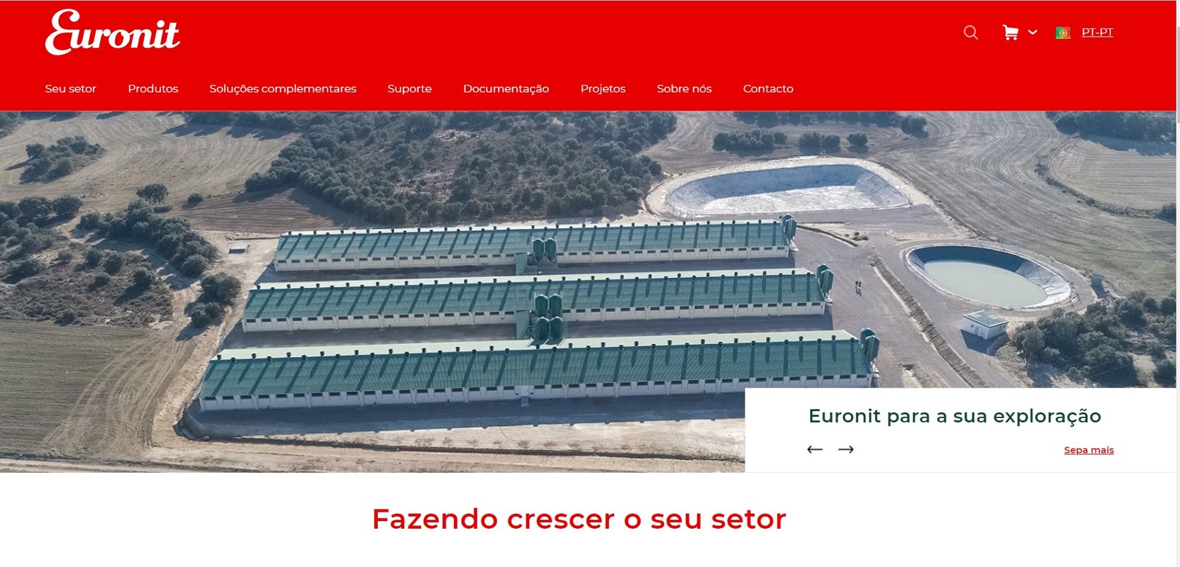 Euronit já está online para o mercado português