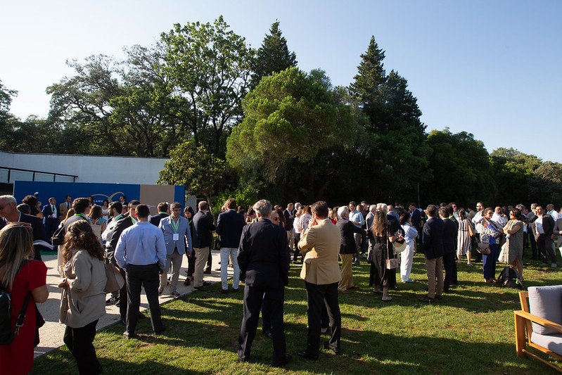 52994393793_890ac28fcf_c