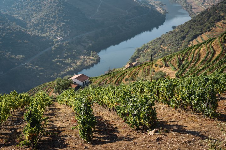 Douro. Fotografia de Maksym Kaharlytskyi, Pixabay.